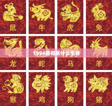 1994年生肖五行|1994年属什么生肖